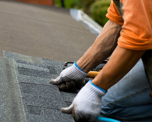 Best Shingle Roofing Installation  in Wescosville, PA